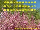 ֹ,󷨵ӹ編ִʦ𻪵(19)