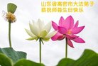 ֹ,Ϋ󷨵ӹ編ִʦ𻪵(21)