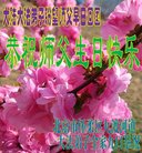 ֹ,󷨵ӹ編ִʦ𻪵(20)