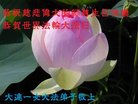 ֹ,󷨵ӹ編ִʦ𻪵(21)