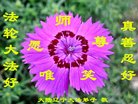 ֹ,󷨵ӹ編ִʦ𻪵(21)