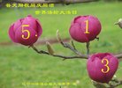 ֹ,󷨵ӹ編ִʦ𻪵(21)