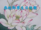 ֹ,ӱ󷨵ӹ編ִʦ𻪵(22)