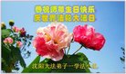 ֹ,󷨵ӹ編ִʦ𻪵(20)