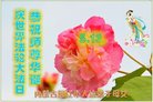 ֹ,ɹŴ󷨵ӹ編ִʦ𻪵(22)