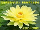 ֹ,ػʵ󷨵ӹ編ִʦ𻪵(18)