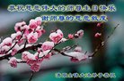 ֹ,󷨵ӹ編ִʦ𻪵(20)