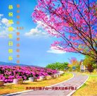 ֹ,󷨵ӹ編ִʦ𻪵(19)