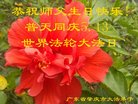 ֹ,㶫󷨵ӹ編ִʦ𻪵(25)