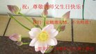 ֹ,󷨵ӹ編ִʦ𻪵(21)