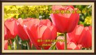 ֹ,󷨵ӹ編ִʦ𻪵(21)