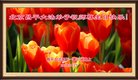 ֹ,󷨵ӹ編ִʦ𻪵(21)