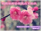 ֹ,մ󷨵ӹ編ִʦ𻪵(22)