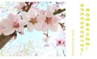 ֹ,д󷨵ӹ編ִʦ𻪵(19)