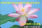 ֹ,󷨵ӹ編ִʦ𻪵(21)