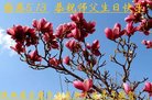 ֹ,󷨵ӹ編ִʦ𻪵(19)