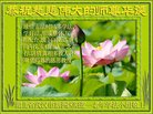 ֹ,󷨵ӹ編ִʦ𻪵(21)