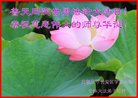 ֹ,ʯׯ󷨵ӹ編ִʦ𻪵(20)