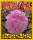 ֹ,󷨵ӹ編ִʦ𻪵(20)