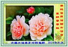 ֹ,󷨵ӹ編ִʦ𻪵(21)