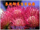 ֹ,󷨵ӹ編ִʦ𻪵(21)