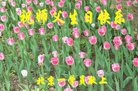 ֹ,󷨵ӹ編ִʦ𻪵(20)