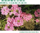 ֹ,󷨵ӹ編ִʦ𻪵(20)