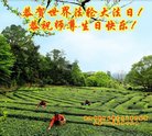 ֹ,󷨵ӹ編ִʦ𻪵(20)