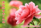 ֹ,ӱ󷨵ӹ編ִʦ𻪵(18)