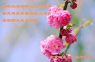 ֹ,󷨵ӹ編ִʦ𻪵(22)