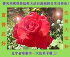 ֹ,󷨵ӹ編ִʦ𻪵(20)