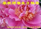 ֹ,ɹŴ󷨵ӹ編ִʦ𻪵(20)