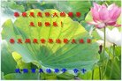 ֹ,󷨵ӹ編ִʦ𻪵(22)