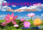 ֹ,ʡ󷨵ӹ編ִʦ𻪵(22)