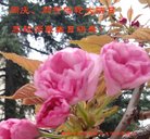 ֹ,󷨵ӹ編ִʦ𻪵(19)