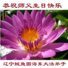 ֹ,󷨵ӹ編ִʦ𻪵(22)