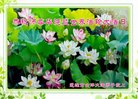 ֹ,ϴ󷨵ӹ編ִʦ𻪵(20)