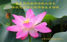 ֹ,ɽ󷨵ӹ編ִʦ𻪵(19)