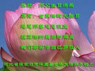 ֹ,żҿڴ󷨵ӹ編ִʦ𻪵(20)