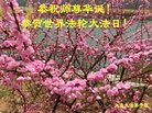 ֹ,󷨵ӹ編ִʦ𻪵(25)