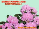 ֹ,󷨵ӹ編ִʦ𻪵(18)