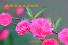ֹ,żҿڴ󷨵ӹ編ִʦ𻪵(19)