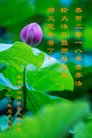 ֹ,󷨵ӹ編ִʦ𻪵(18)