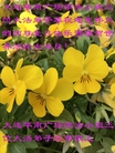 ֹ,󷨵ӹ編ִʦ𻪵(18)