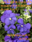 ֹ,󷨵ӹ編ִʦ𻪵(18)