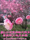 ֹ,󷨵ӹ編ִʦ𻪵(22)