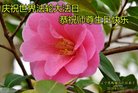ֹ,󷨵ӹ編ִʦ𻪵(22)
