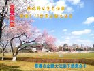 ֹ,󷨵ӹ編ִʦ𻪵(23)