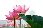 ֹ,󷨵ӹ編ִʦ𻪵(23)