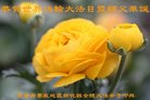 ֹ,ϴ󷨵ӹ編ִʦ𻪵(24)
